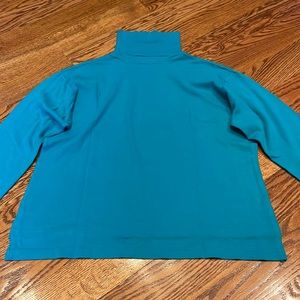 Teal Cotton Turtleneck